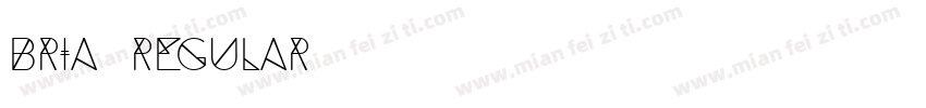 BRIA Regular字体转换